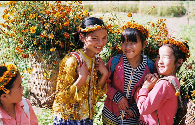 Picture 14 of Ha Giang yellow sunshine in the early winter days