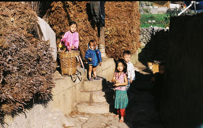Picture 15 of Ha Giang yellow sunshine in the early winter days