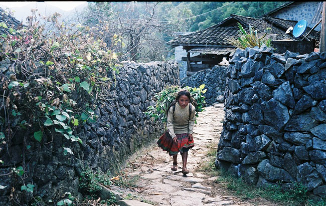 Picture 16 of Ha Giang yellow sunshine in the early winter days