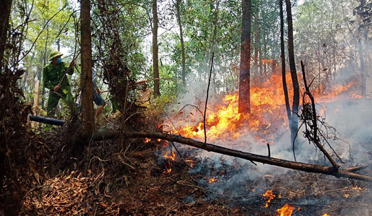 Picture 2 of Ha Tinh has forest fires, hundreds of people put out fires in the hot sun