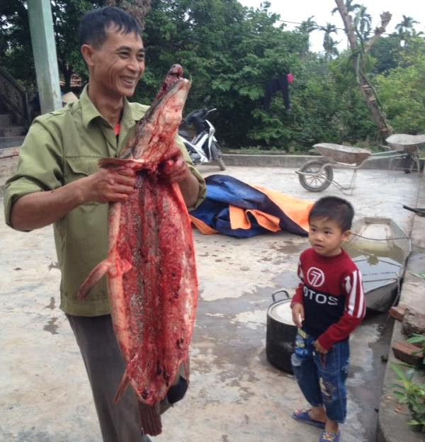 Picture 2 of Hai Duong: People caught crocodile-like fish