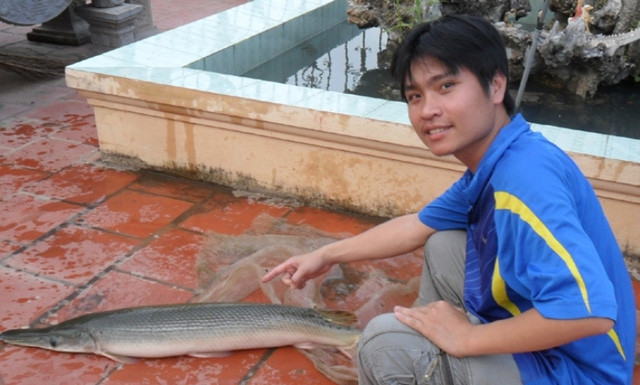 Picture 6 of Hai Duong: People caught crocodile-like fish