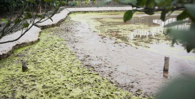 Hai Phong urgently excavated 13 suspected wooden piles of the battle of Bach Dang images 1