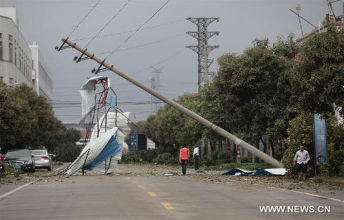 Picture 3 of Hail caused 12 people to die in China