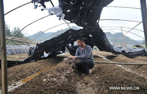Picture 4 of Hail caused 12 people to die in China