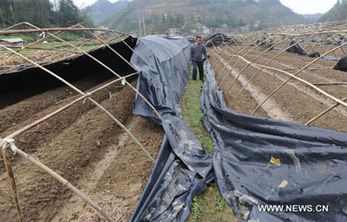 Picture 5 of Hail caused 12 people to die in China