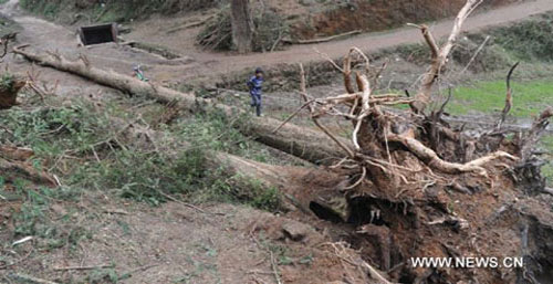 Picture 7 of Hail caused 12 people to die in China