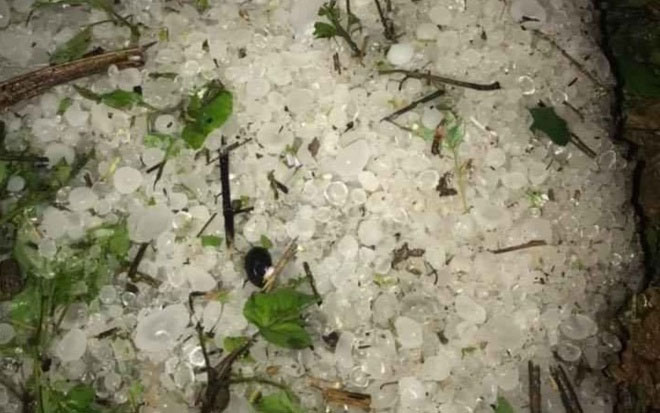 Picture 1 of Hail in Lai Chau damaged more than 1,000 houses
