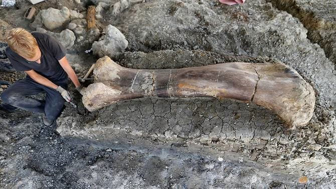 Picture 1 of Half-toned femur revealed a prehistoric 'super monster'