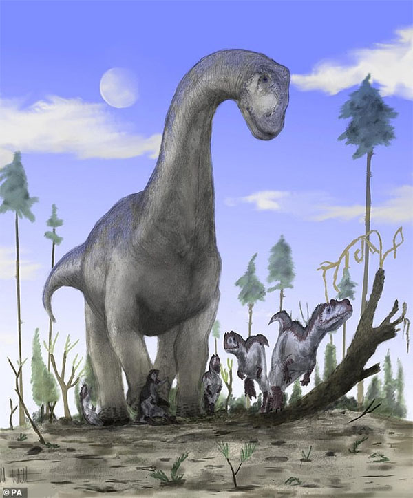 Picture 2 of Half-toned femur revealed a prehistoric 'super monster'