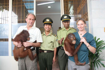 Picture 6 of Handover 2 rare orangutans to Indonesia