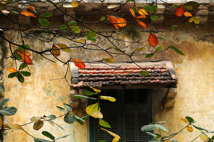 Picture 13 of Hanoi autumn moments are beautiful