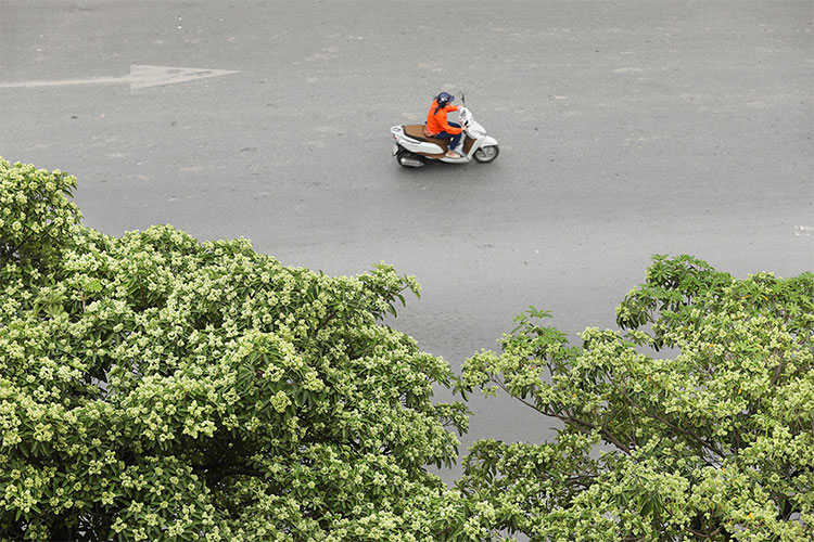 Picture 17 of Hanoi autumn moments are beautiful
