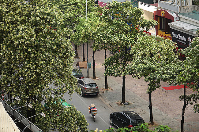 Picture 2 of Hanoi autumn moments are beautiful