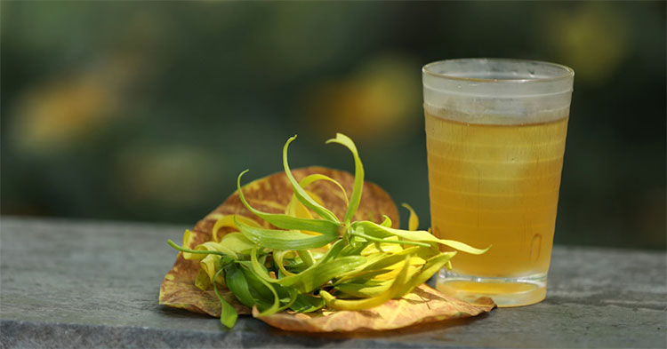 Picture 24 of Hanoi autumn moments are beautiful