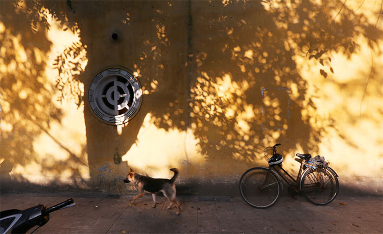 Picture 7 of Hanoi autumn moments are beautiful