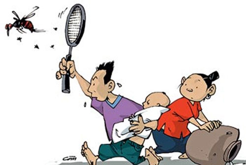 Picture 2 of Hanoi: Dengue epidemic is complicated, the number of cases increases