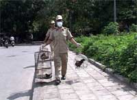 Picture 1 of Hanoi: eliminating the poultry trade in the inner city