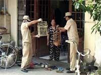 Picture 3 of Hanoi: Farewell to birds and birds before G