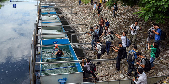 Picture 2 of Hanoi people were surprised when Japanese experts bathed in To Lich river