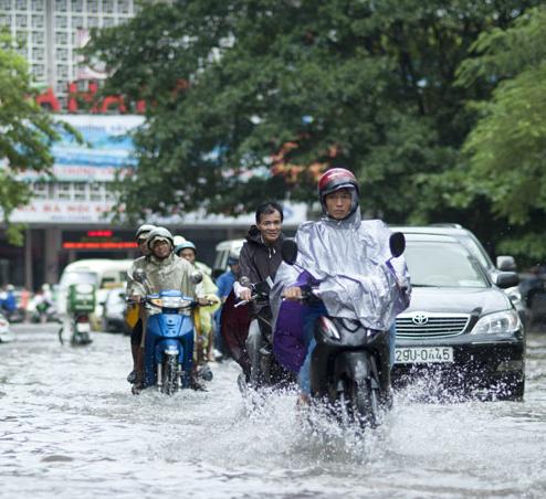 Picture 2 of Hanoi plans to migrate and accumulate food