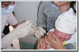 Picture 1 of Hanoi vaccines against Japanese encephalitis for free