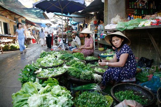 Picture 1 of Hanoi: Vegetables are contaminated from fields to markets