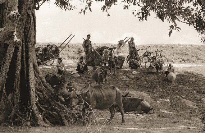 Picture 5 of Hanoi was subsidized by a photo of the British diplomat