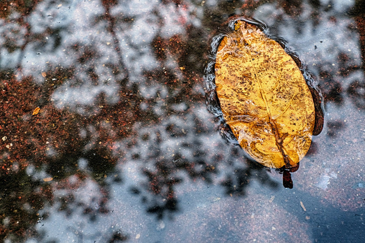 Picture 7 of Hanoi winter moments