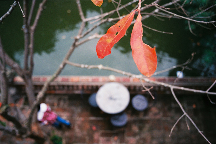 Picture 8 of Hanoi winter moments
