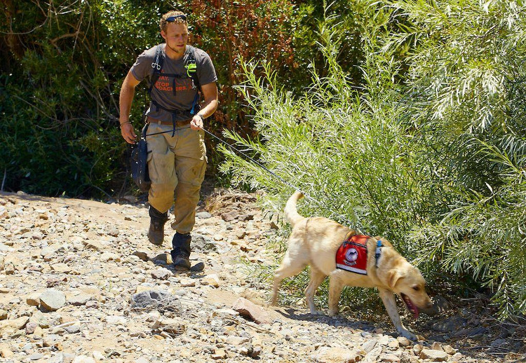 Picture 2 of Happy 'special dog' specializes in hunting ... ants