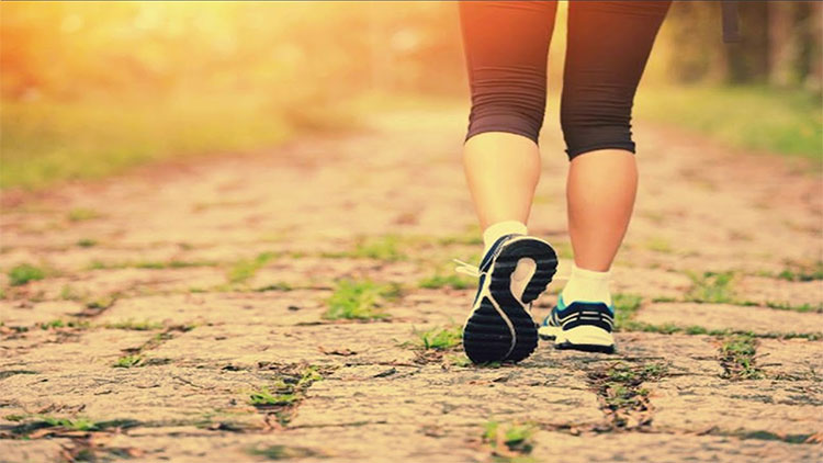 Picture 1 of Harvard expert: easy walking way to reduce 41% risk of premature death