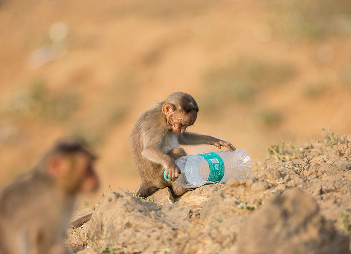 Picture 10 of Haunting because the world is flooded with plastic waste