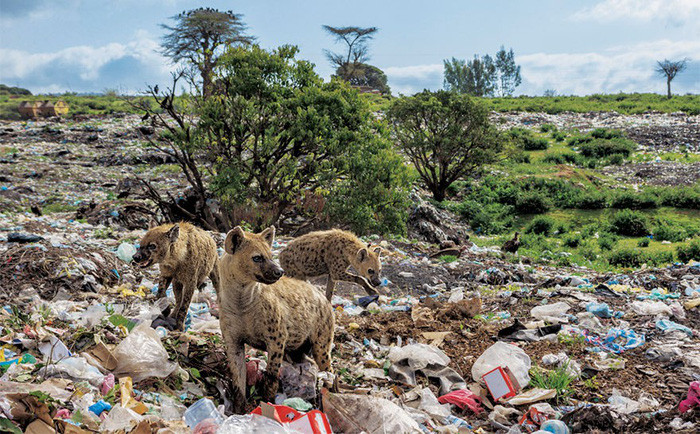 Picture 11 of Haunting because the world is flooded with plastic waste