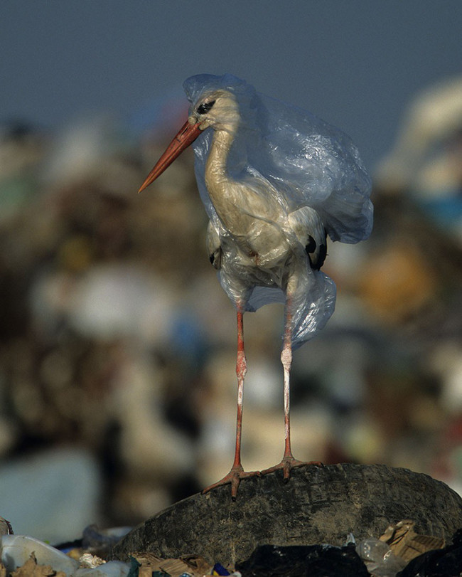 Picture 5 of Haunting because the world is flooded with plastic waste