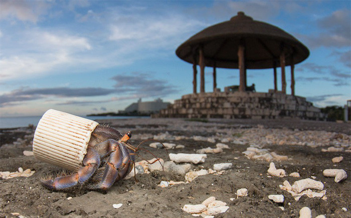 Picture 8 of Haunting because the world is flooded with plastic waste