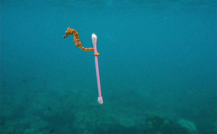 Picture 9 of Haunting because the world is flooded with plastic waste