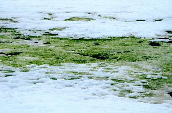 Picture 7 of Have black, yellow, red, blue snows?