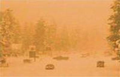 Picture 9 of Have black, yellow, red, blue snows?