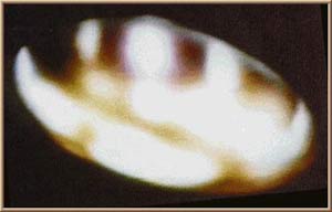 Picture 2 of Have seen aliens on the moon?