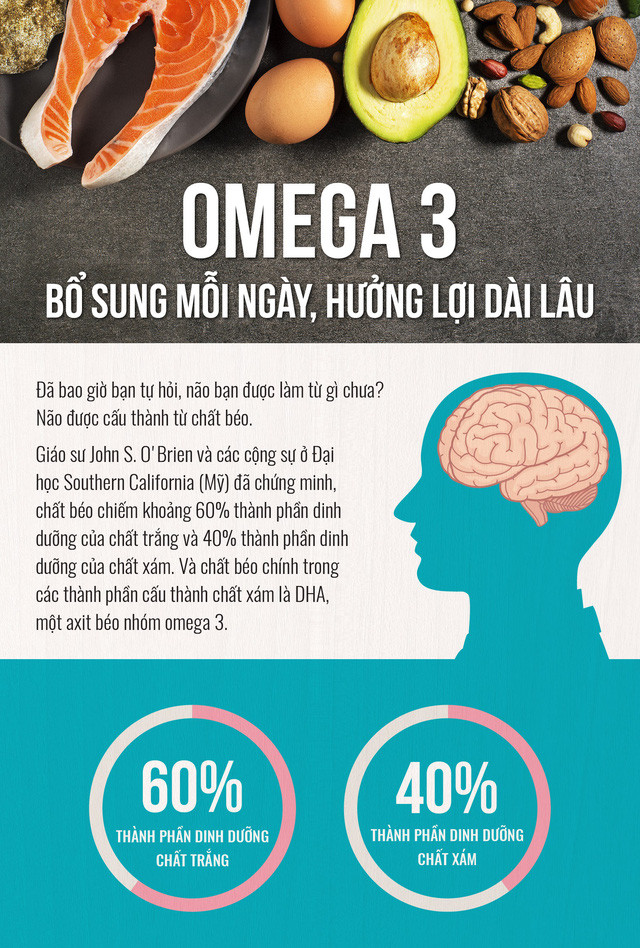 Picture 1 of Have you ever asked what brain is made of?