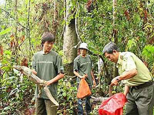 Picture 1 of HCMC: Release 43 precious animals to the forest