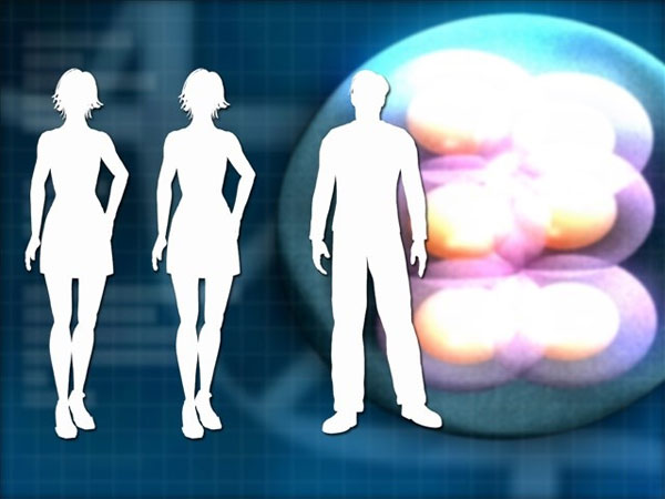 Picture 1 of He approached the fertilization from three people's DNA