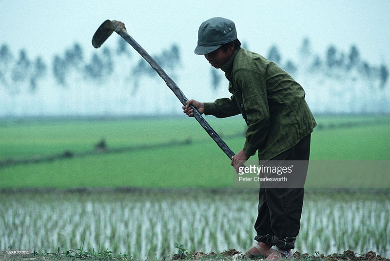 Picture 11 of He did not touch goods to Hanoi in 1992