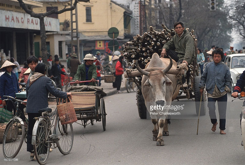 Picture 2 of He did not touch goods to Hanoi in 1992