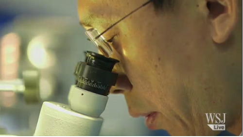 Picture 2 of Head implant - the conquest of pioneering anatomists