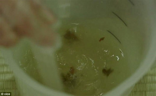Picture 2 of Healing ability of feces and urine