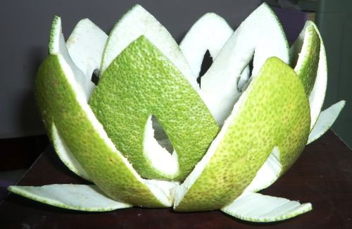 Picture 5 of Healing effect of fruit peel