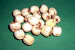 Picture 1 of Healing effects of lotus seeds