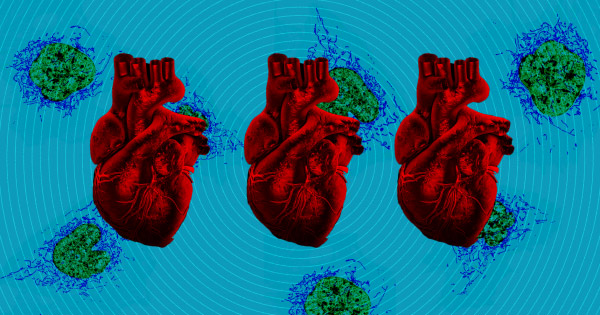 Picture 1 of Healing heart damage in newborns through mitochondrial implants